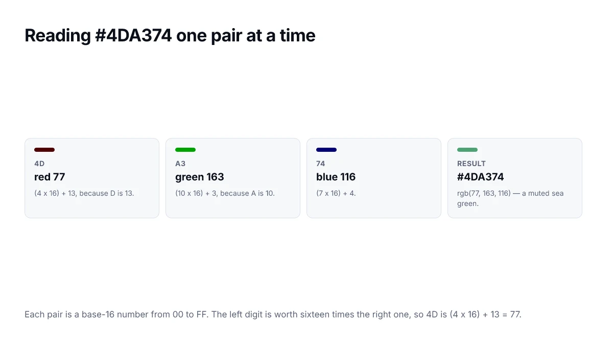 Reading #4DA374 one pair at a time. Each pair is a base-16 number from 00 to FF. The left digit is worth sixteen times the right one, so 4D is (4 x 16) + 13 = 77.